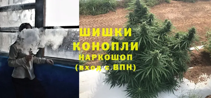 Каннабис OG Kush  OMG ТОР  нарко площадка какой сайт  Жиздра 